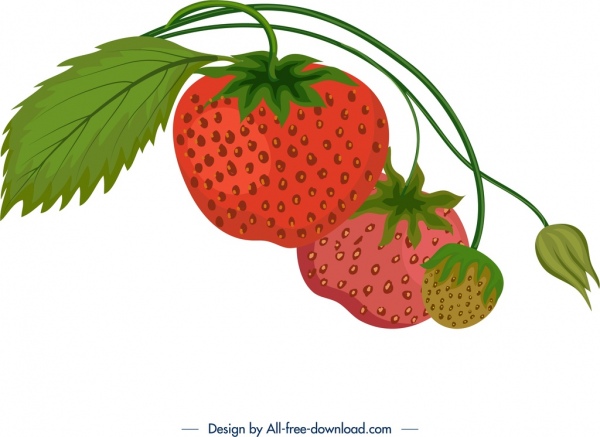 新鲜成熟的草莓图标五颜六色的古典设计