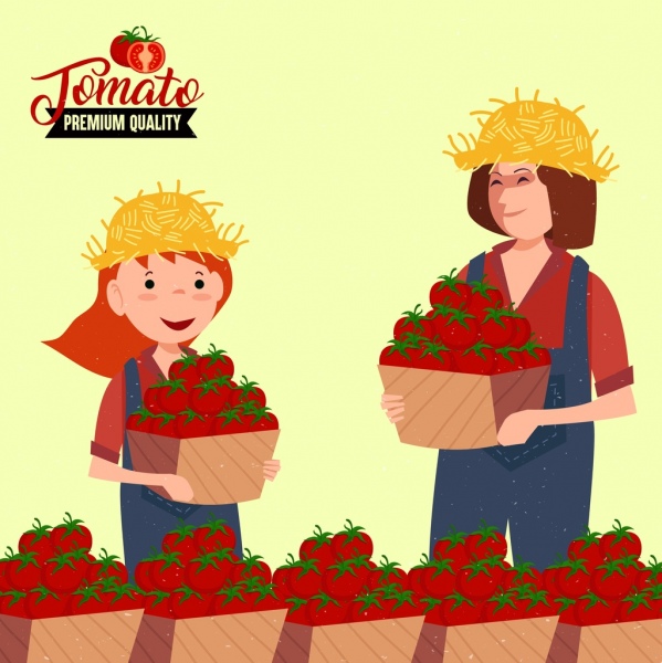 新鮮蕃茄廣告農民紅色水果圖標