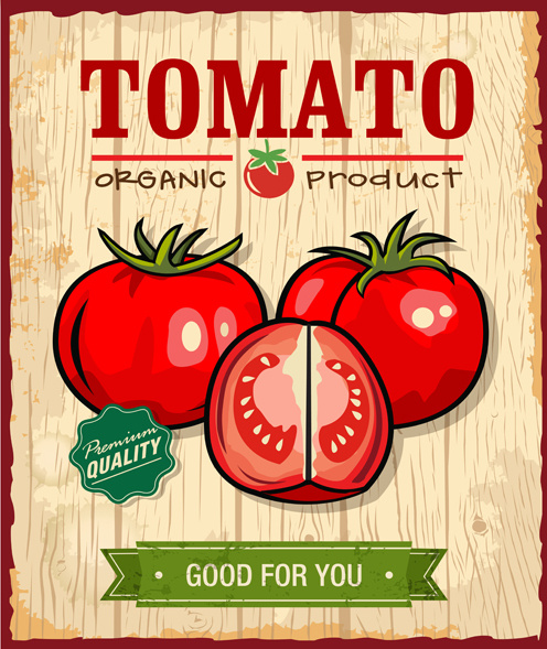 신선한 토마토 복고풍 스타일 포스터 벡터