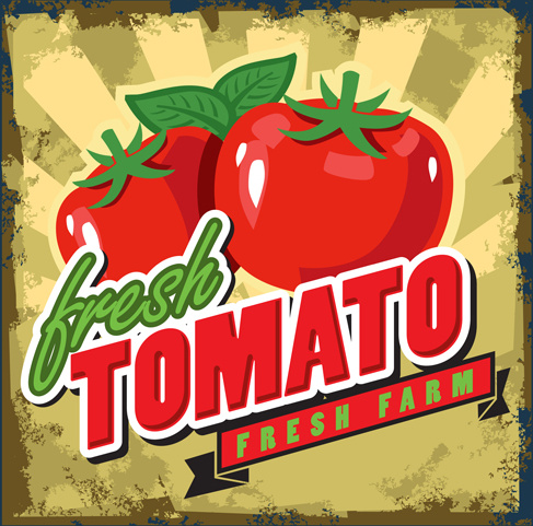 vetor de cartaz de estilo retro de tomate fresco