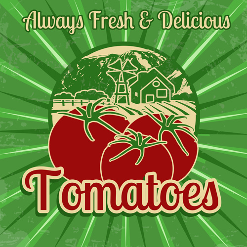 frische Tomaten Retrostil Plakat Vektor