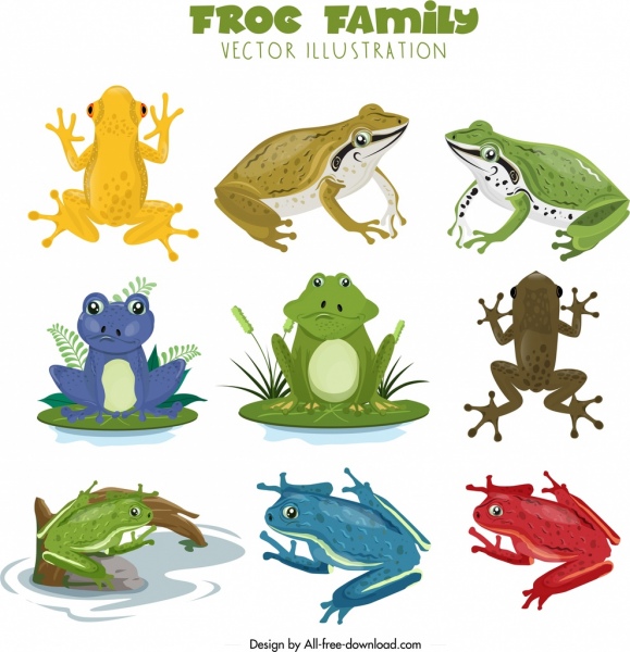 Frosch Arten Symbole Sammlung bunten Cartoon-design