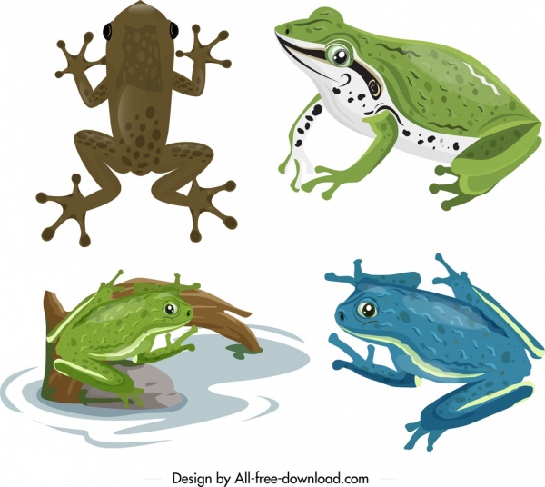 Frosch Kröte Symbole setzt farbenfrohes Design Comic-Figuren