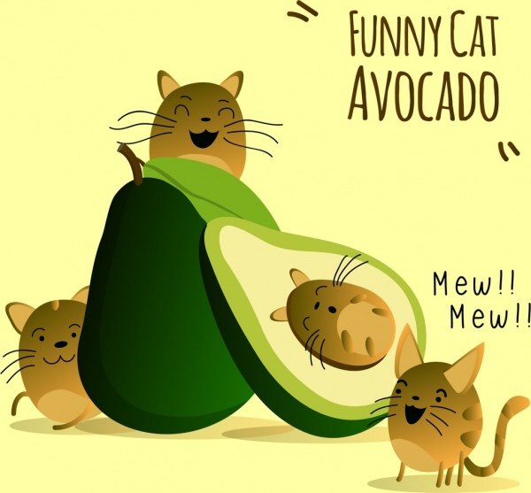 과일 배너 귀여운 고양이 녹색 아보카도 아이콘 장식
