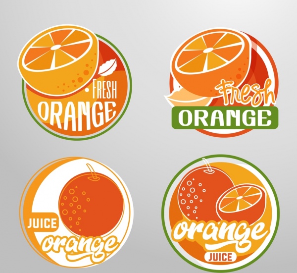 ผลไม้ logotypes ไอคอนสีส้มวงกลมออก