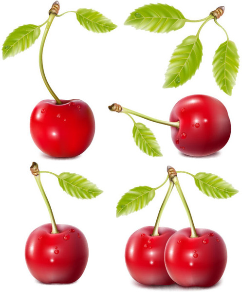 과일 음식 나뭇잎 빨간 체리