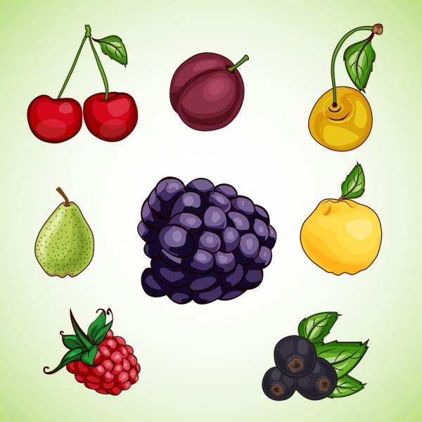 水果圖標集平面色彩設計