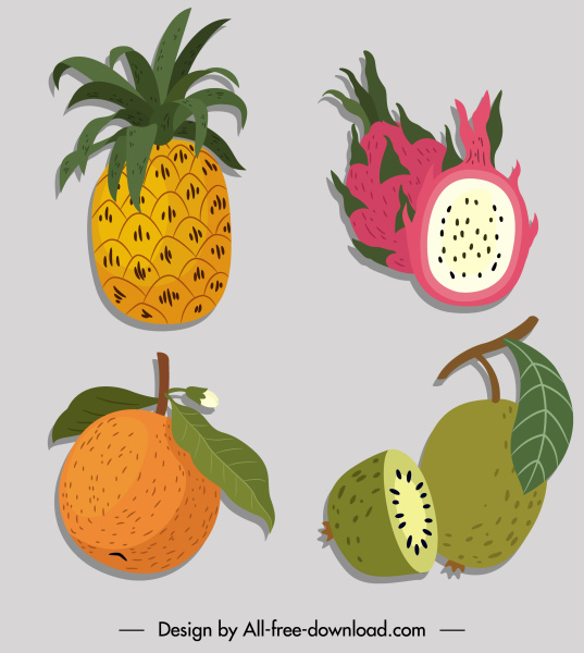 ícones de frutas coloridos esboço handrrawn clássico