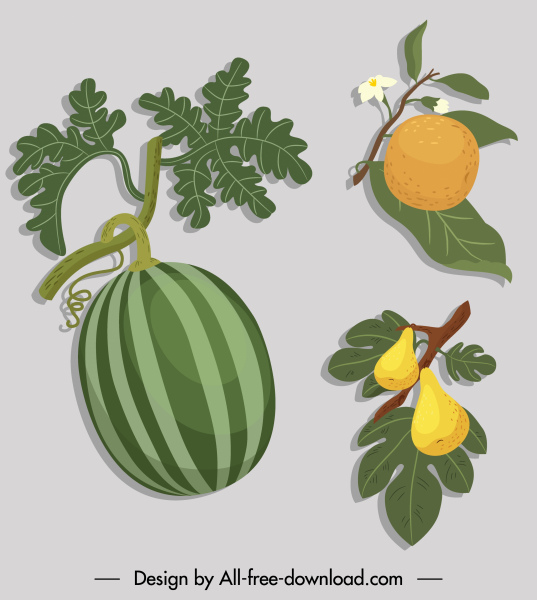 ícones de frutas colorido esboço clássico