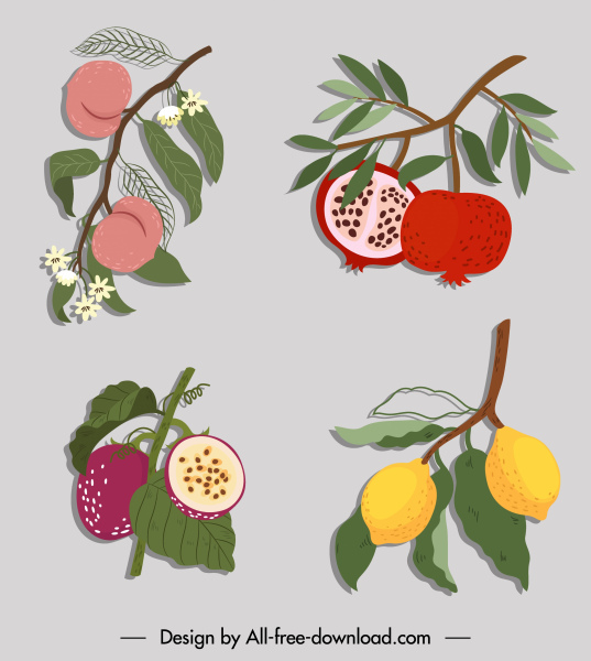 iconos de frutas color retro sketch