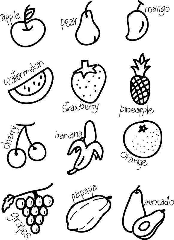 fruits icônes ensembles plat classique dessiné à la main contour