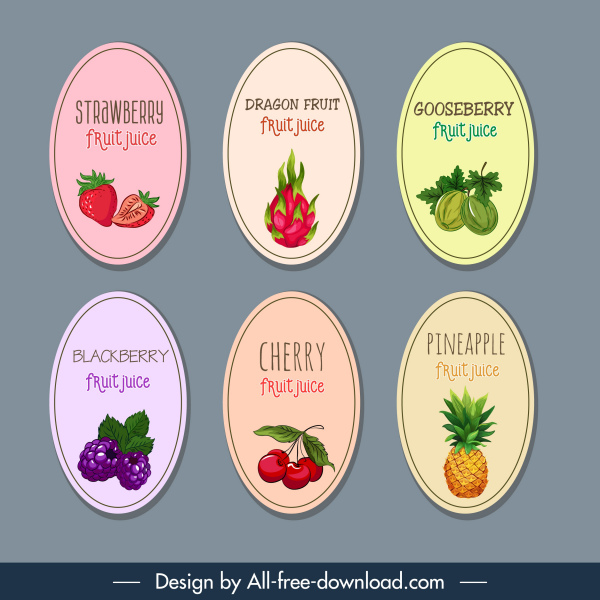 Früchte Etiketten Vorlagen farbige klassische flache Design