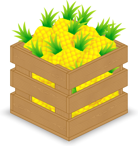gráficos de vetor de frutas com caixa de madeira
