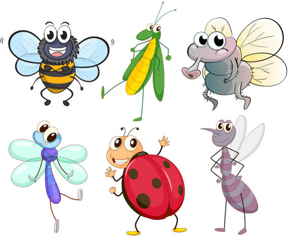 conjunto de vetores insetos engraçado dos desenhos animados