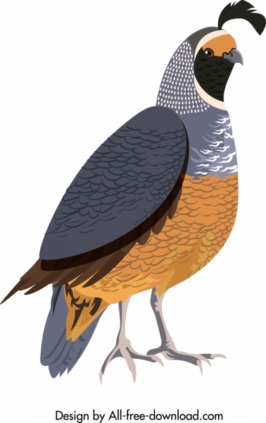 Galliformes Icon Vogel Skizze farbige Nahaufnahme Design