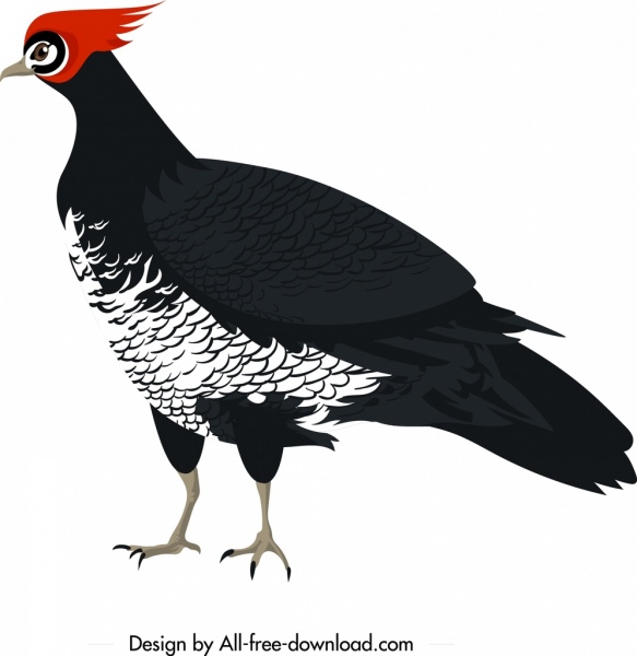 Hühnervögel Symbol klassischen farbigen Cartoon Charakterskizze