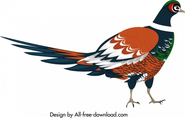 ícone colorido clássico de galliformes