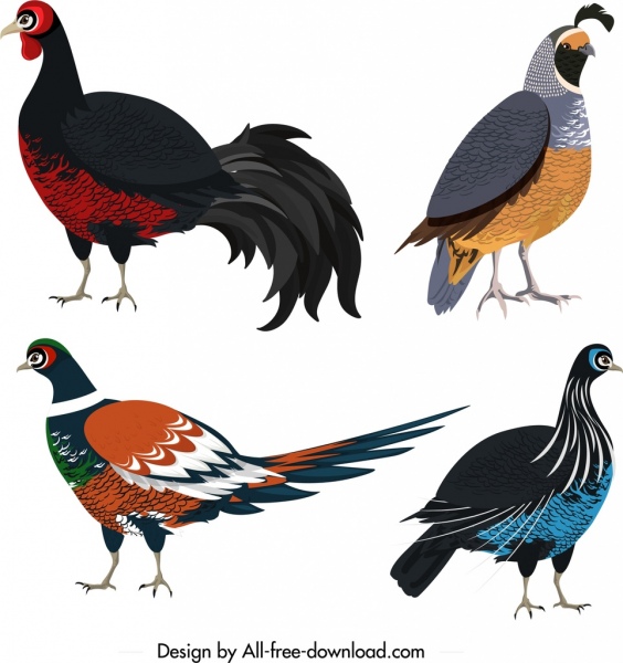 Hühnervögel Symbole farbige Wildvögel skizzieren