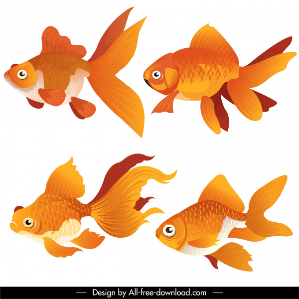 iconos de peces dorados de diseño moderno de colores brillantes dibujo de natación