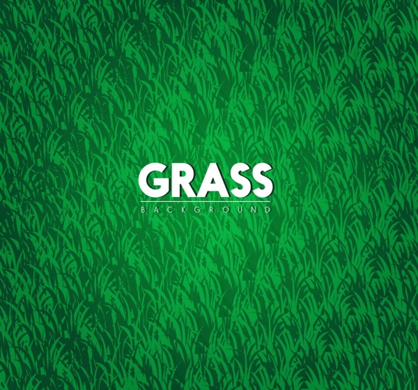 decorazione verde brillante sfondo dell'erba