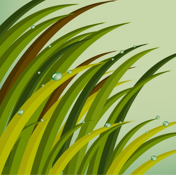 العشب خلفية الأيقونات الخضراء الديكور ديكور قطرات الندى