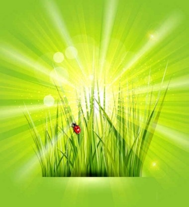 Vector de fondo verde hierba con la luz del sol brillante