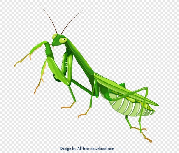 메뚜기 곤충 아이콘 녹색 3D 클로즈업 스케치