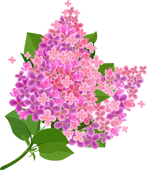 Gree Blatt mit rosa Blume Hintergrund Vektor
