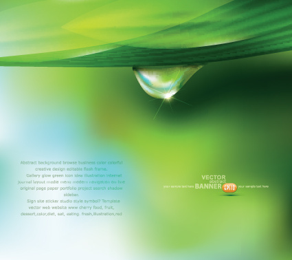 Grüner Hintergrund mit Wasser Tropfen Vektor