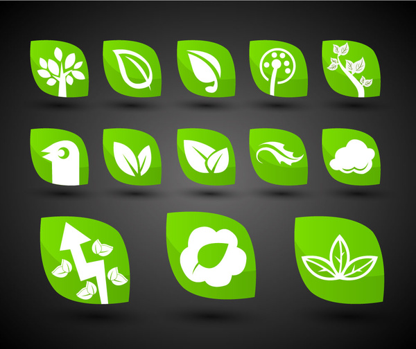coleção de ícones verdes bio com projeto de formas de folha