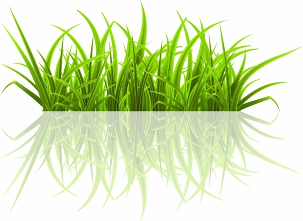 Green Grass -2 Green Grass -2