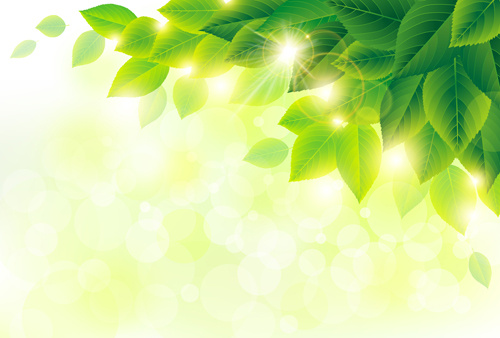 grünes Blatt mit Lichthof Hintergrund Vektor