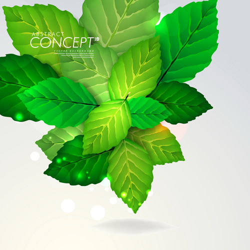 vecteur d'éléments de base des feuilles vertes concept