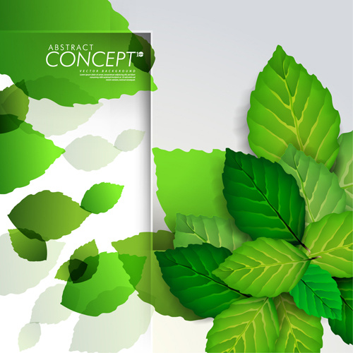 grüne Blätter Design Elemente Karten Vektor