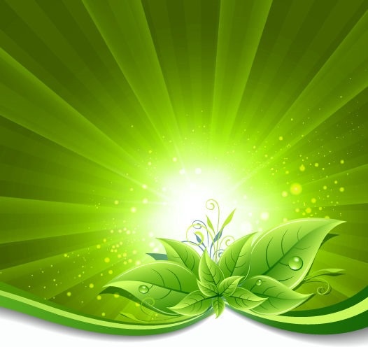 grüne Blätter auf Burst-Hintergrund-Vektor-illustration