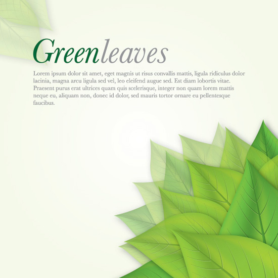 grüne Blätter Vektor-Hintergrund