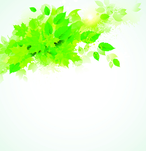 zielone liście z grunge tło graficzne wektor
