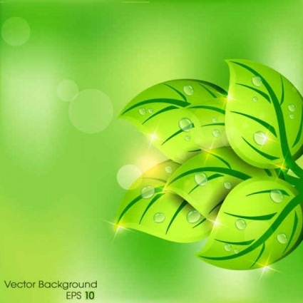 hijau daun dengan air drop eco latar belakang