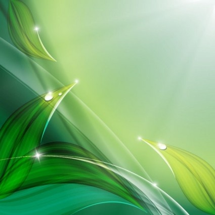 fogli di verde con priorità bassa di eco di goccia dell'acqua