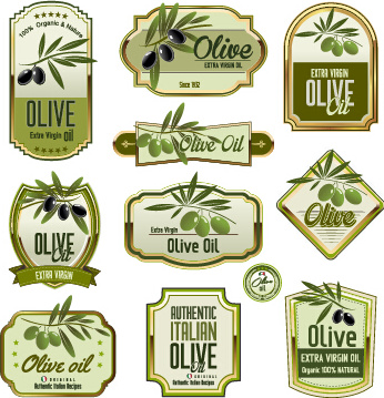 Grüne Oliven-Öl Etiketten setzen Vektor