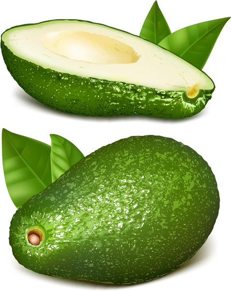 vector de papaya verde