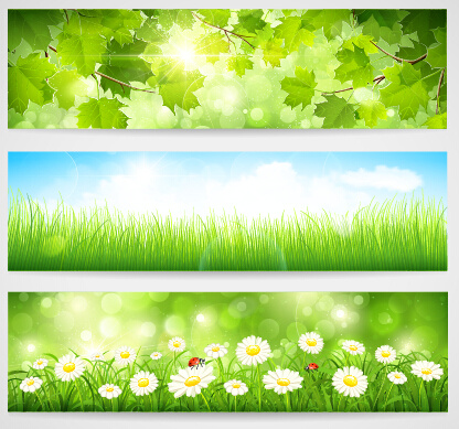 Весной зеленые листья набор векторных баннеров