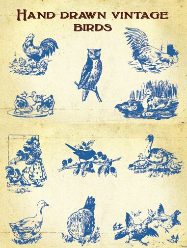 Hand-Zeichnung Vintage Vögel Vektor