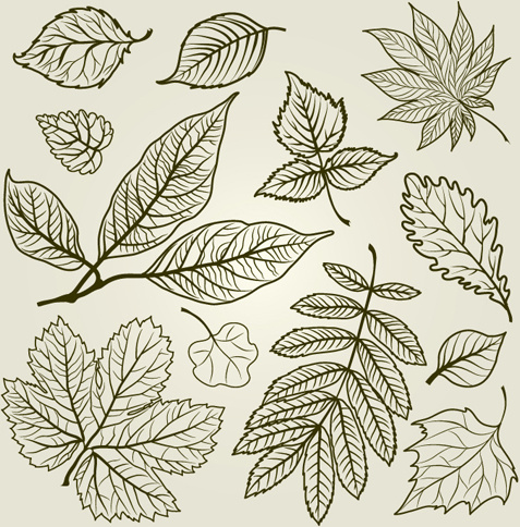 folhas de outono mão desenhada vector