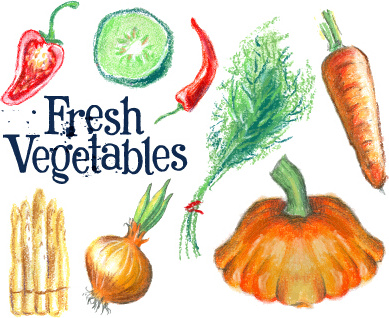 handgezeichnete farbige Vektor frisches Gemüse