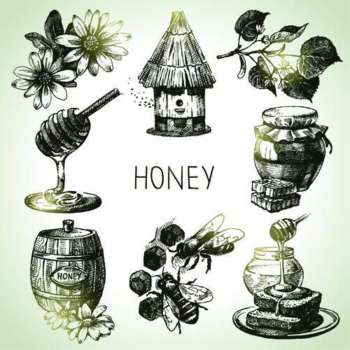 elementos de miel dibujado a mano iconos de vector
