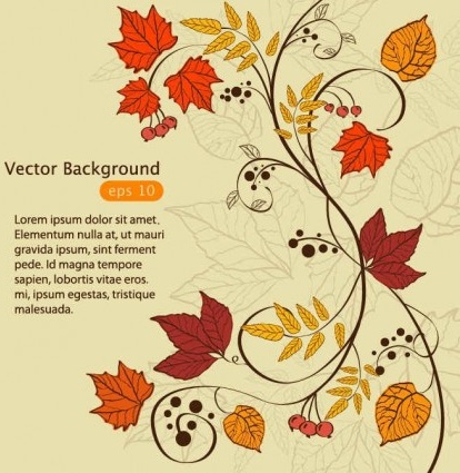 tangan ditarik maple daun vintage latar belakang vektor