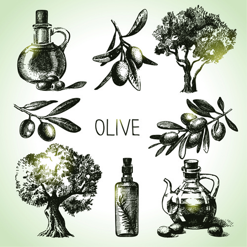 vector de elementos oliva dibujado a mano iconos