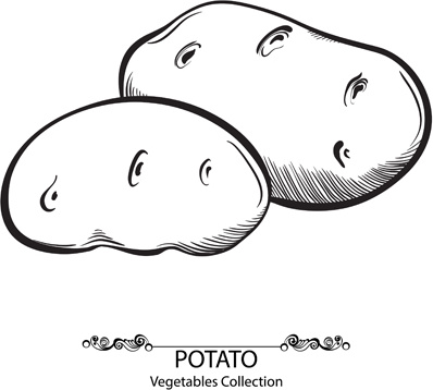 руки drawn картофель овощи вектор