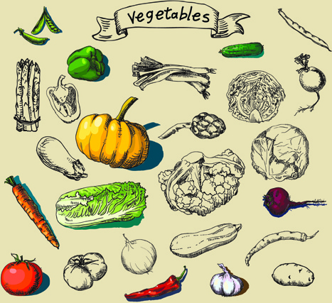 手描き下ろし野菜創造的なベクトル
